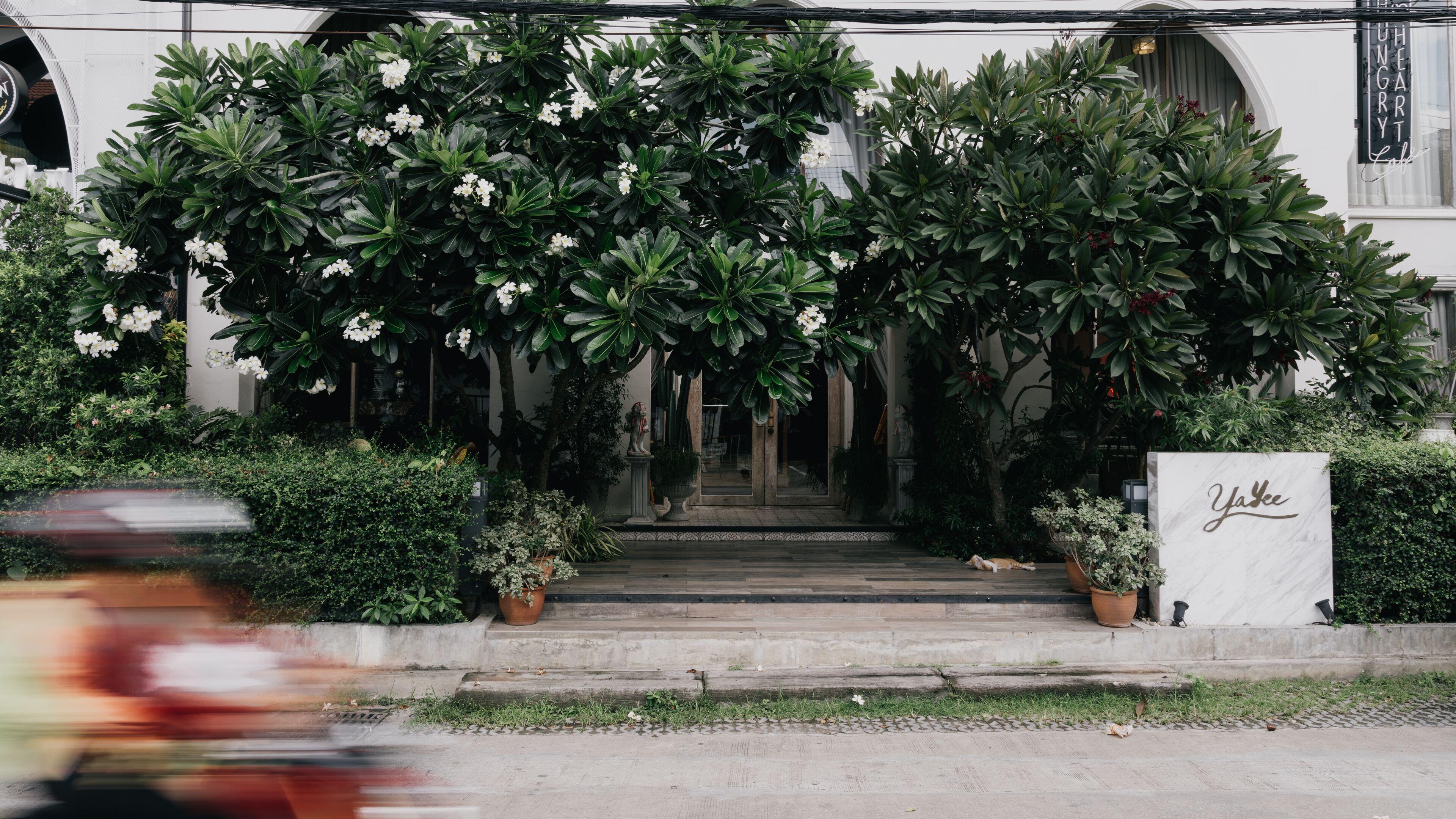 Hotel Yayee — Photos 2